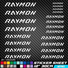 24x RAYMON Vinile Decalcomania