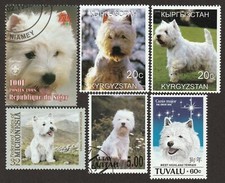 WEST HIGHLAND WHITE TERRIER **