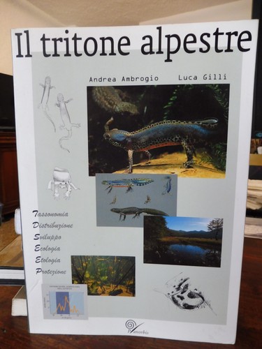 Tritone alpestre andrea - -,