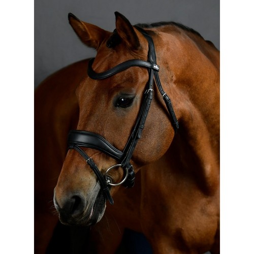 Briglia dressage imbottita - briglia,