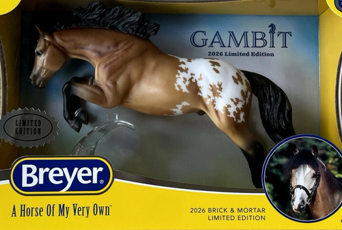 Breyer nuovo gambit - breyer,