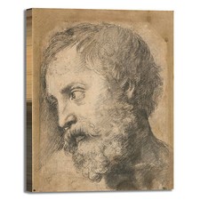 Raphael Head of an Apostle