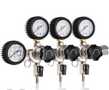 Wellbom Regolatore CO2 per