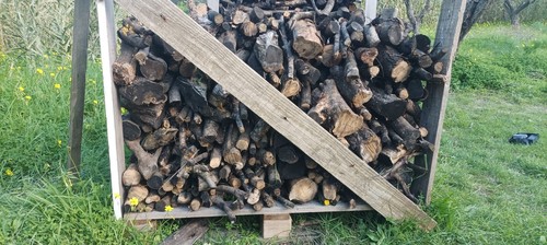 Legna ardere di ulivo - di,
