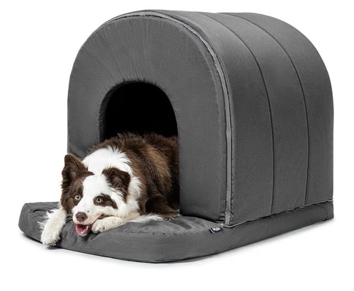 Cuccia ortopedica per cani