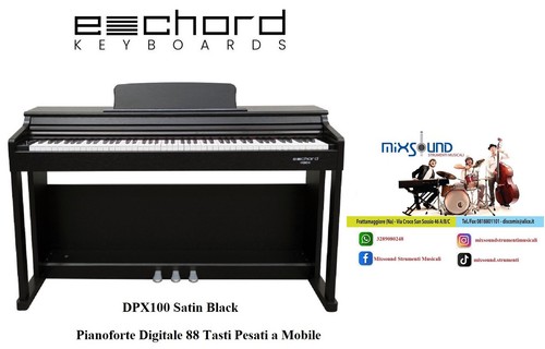 Echord dpx100 satin black - dpx100,