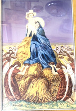 BASILIO CASCELLA  mattonella