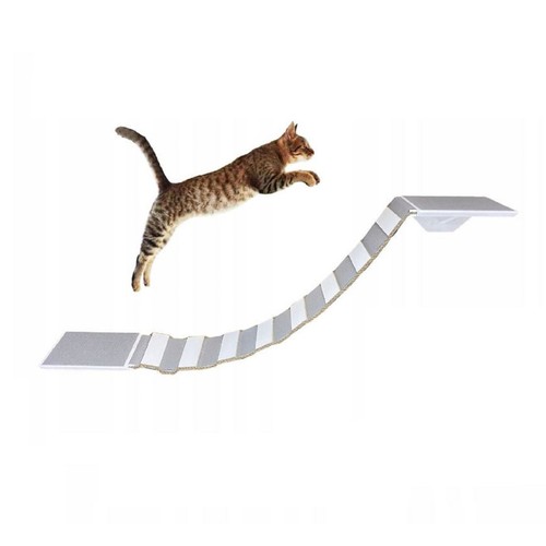 Qls ponte per gatti - gatti, 2