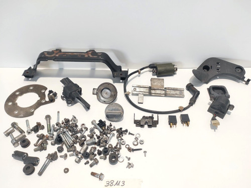 Bulloneria incompleta - bulloneria,