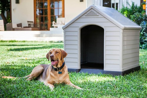 Cuccia per cani cane - in, pvc