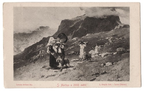 Cartolina postale martino - s.,