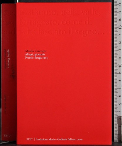 Premio strega 1973 - premio,