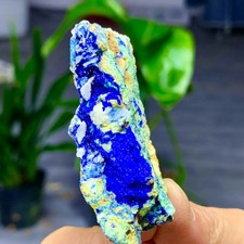 68G MIGLIORI esemplari di