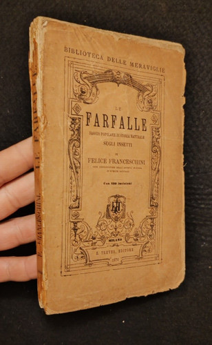 Farfalle saggio storia - farfalle,