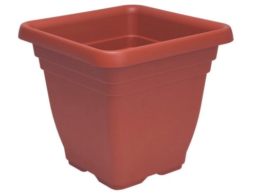Vaso quadro laurus - vaso,