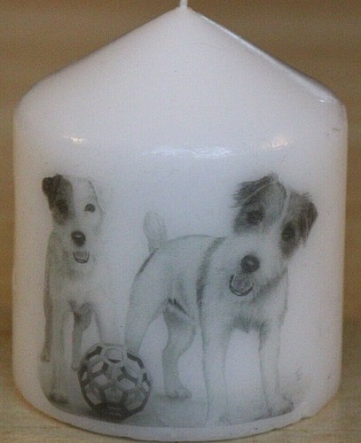 Candle jack russell terrier - jack,