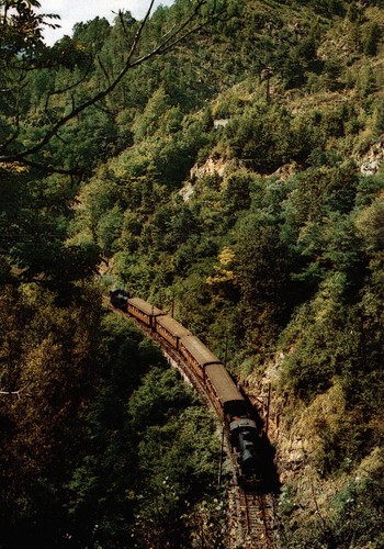 Treno locomotiva linea - treno,