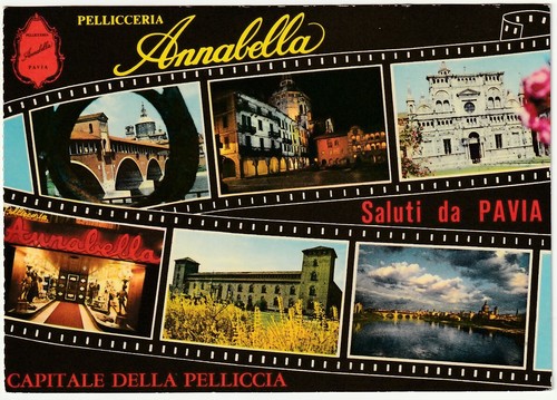 Pavia pellicceria annabella - pavia,