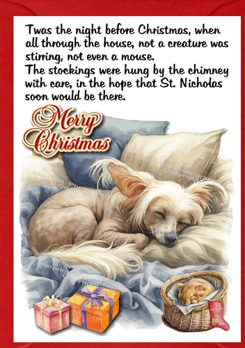 Biglietto natale cinese - biglietto,