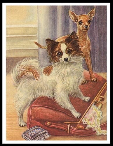 Poster stampa artistica - poster,