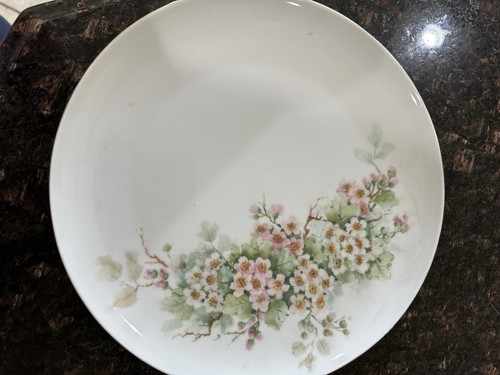 Piatto eschenbach baviera - piatto,