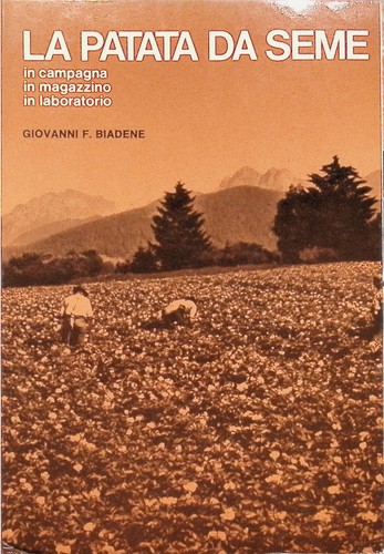 Patata seme campagna - patata,