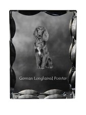 Bracco Tedesco, Bracco Tedesco