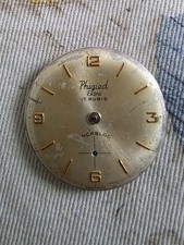 Phigied  Extra Movimento