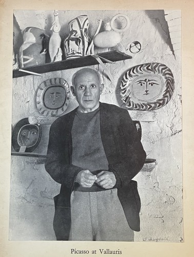 Ceramiche picasso - ceramiche,