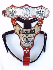 Bully Pitbull Amstaff collare