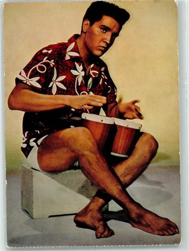 10267877 elvis presley - -,