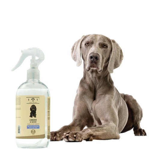 Shampoo secco naturale per - secco,