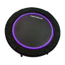 LEAPS & REBOUNDS 48" Mini