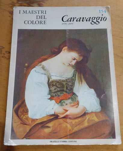 Libro maestri del colore - maestri,