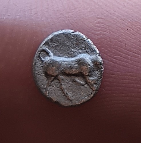 Ionie magnesia ad maeandrum - ad,