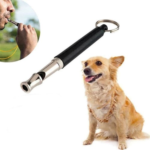 Fischio per cani - fischio,