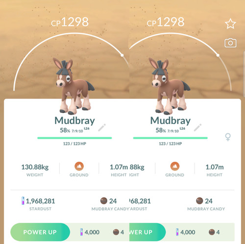 Mudbray pokémon rari - 2,