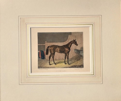 Cavallo corsa stampa - cavallo, da