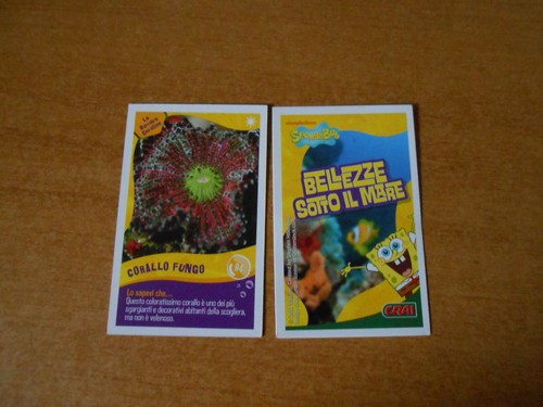 Figurina card spongebob - spongebob, crai