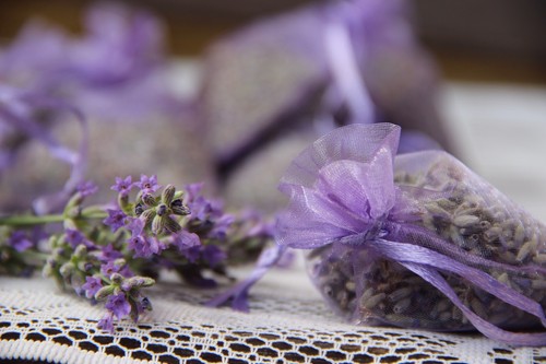 Sacchetti profumatissimi di - 10,