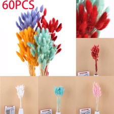 60PCS Coda di Coniglio Erba