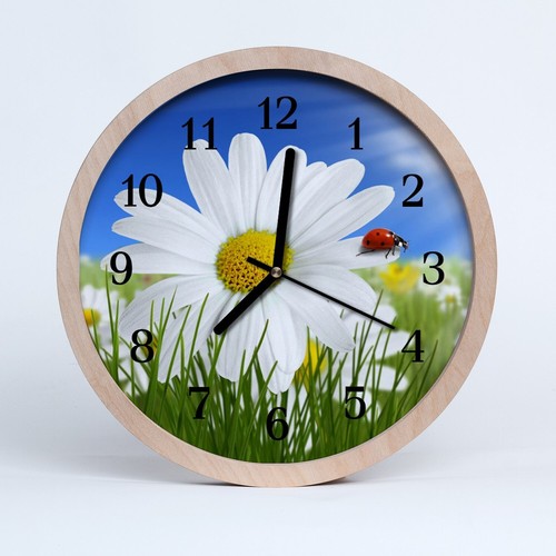 Orologio parete 20cm - 20cm, tondo