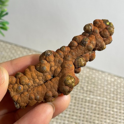 Campione minerale pietra di - pietra,