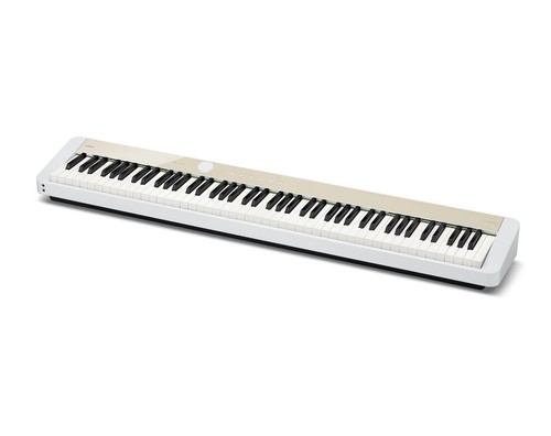 Casio priviapx s1100mb - casio, priviapx-s1100mb