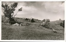 Kandel Waldkirch Brisgau 