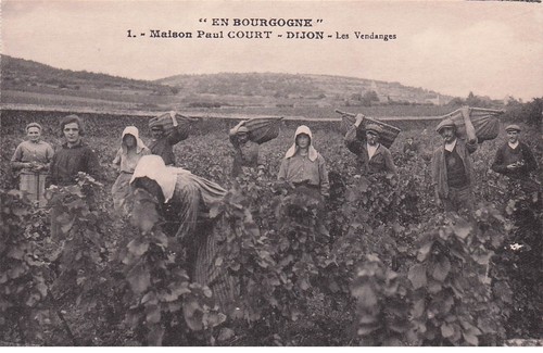 Cote dijon maison paul - ,