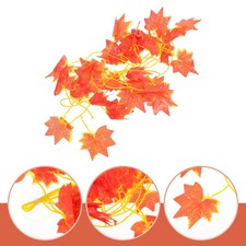 Decorazione rettile accessori - decorazione,