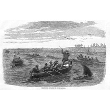 SOUTH CAROLINA Caccia al pesce