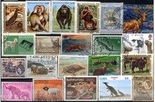 Tematica Animali - varie