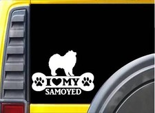 Adesivo Samoyed Bone L089 8